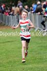 Boys under-11s Northern Cross Country Relays, Graves Park, Sheffield. Photo: David T. Hewitson/Sports for All Pics